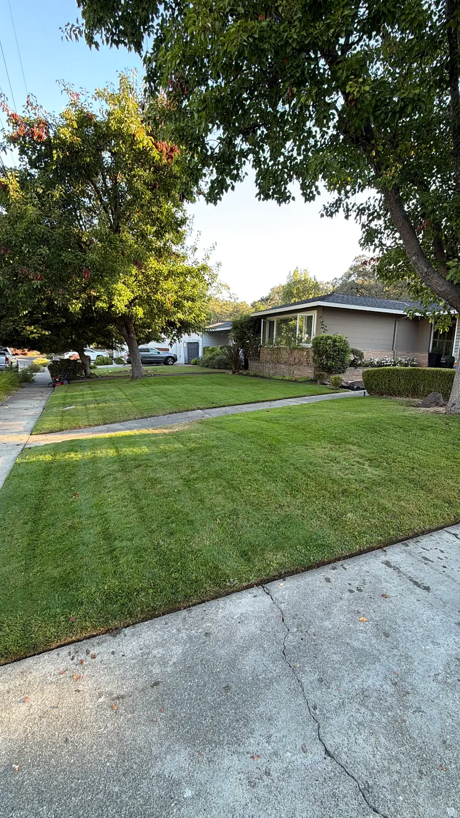 Freshly mowed residential lawn with clean edges and healthy green turf in Napa Valley