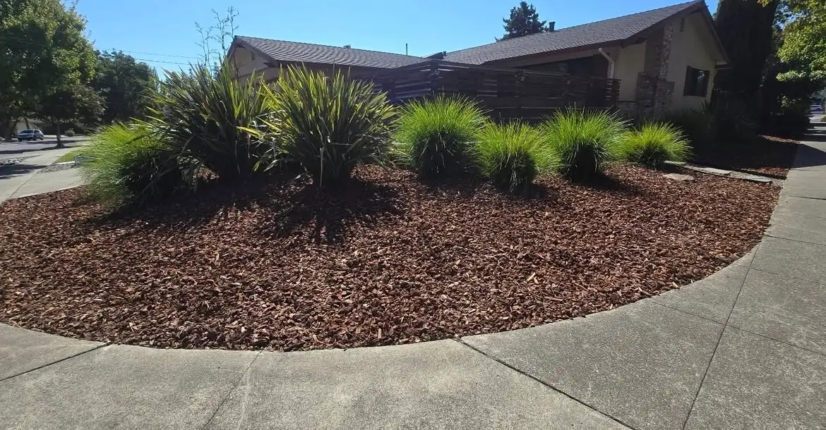 Refreshed mulched planting bed at a Napa property served by 9 Line Landscaping